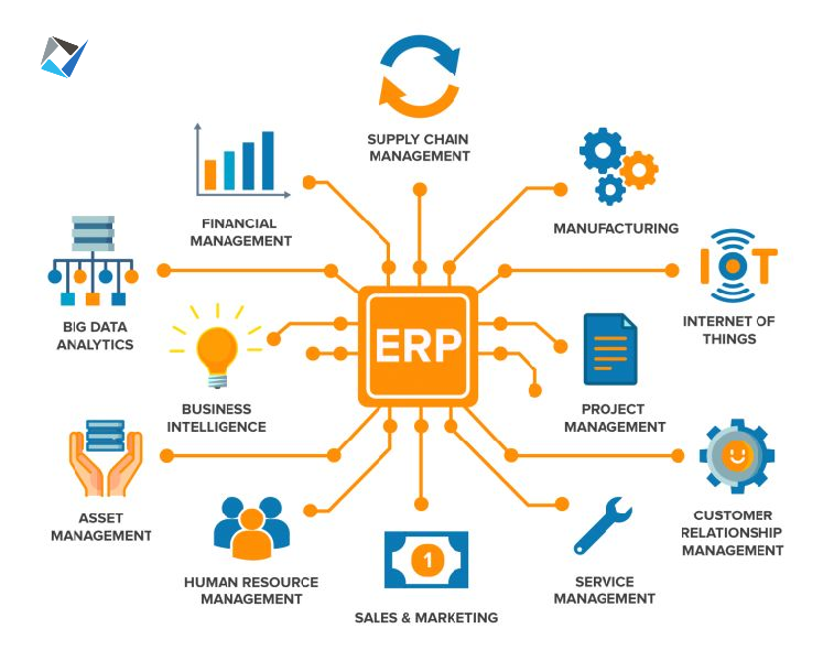 Different Business segments where ERP is used